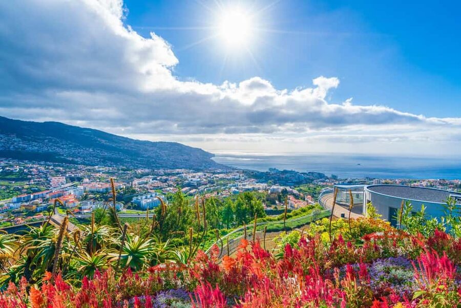 Madeira: Private Tour for Cruise Ship Passengers - What the driver adds to the experience