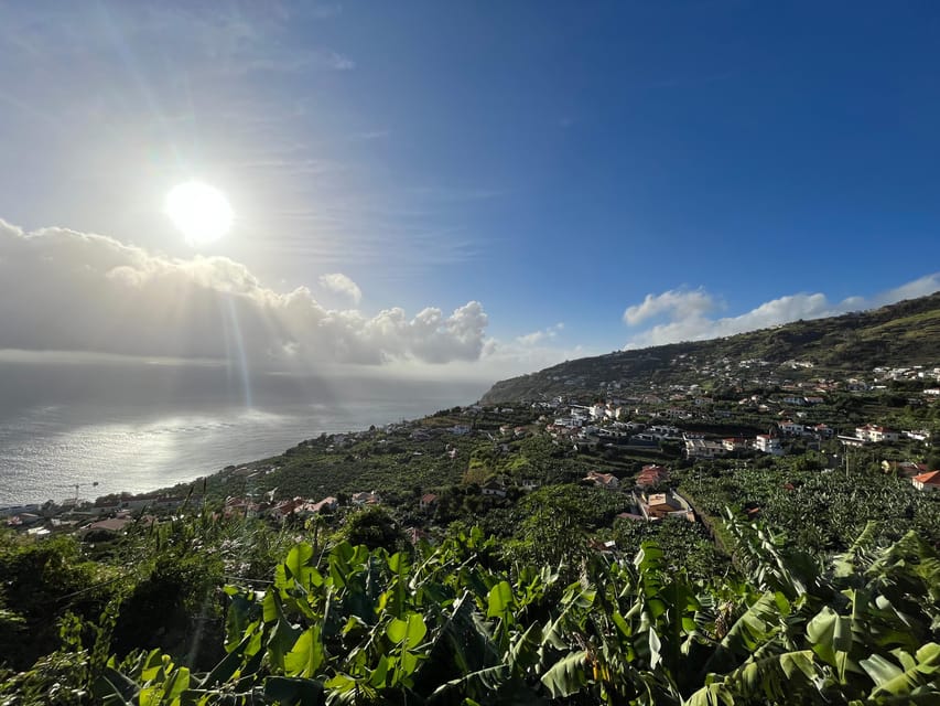 Madeira South Tour: Cabo Girão, Waterfalls for Cruise Ship - Key points to know before booking