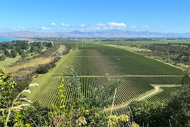 Marlborough Wine Region Tour from the Port of Picton - What the price includes, and where extra costs appear
