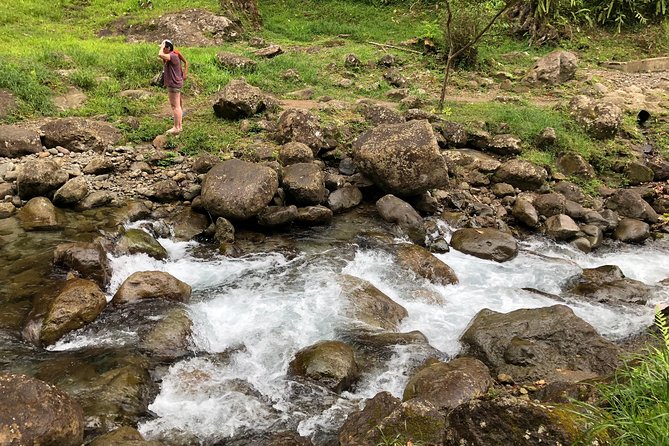 Martinique Shore Excursion - Unmissable Martinique North tour - Why this northbound route works in a short port day