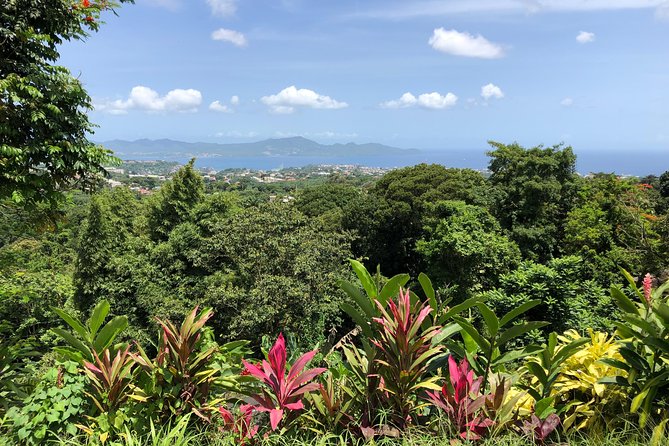 Martinique Shore Excursion - Unmissable Martinique North tour - Saint-Pierre and the story of Mount Pelée