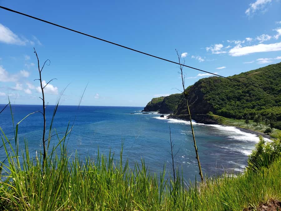 Maui : Road to Hana Tour w/ Pickup near Cruise Port - Why the Road to Hana works best from a van