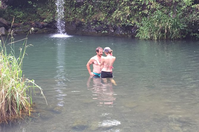 Maui Shore Excursions : Road to Hana With Pickup & Lunch - Rainbow eucalyptus, Hana Farms, and optional roadside stops