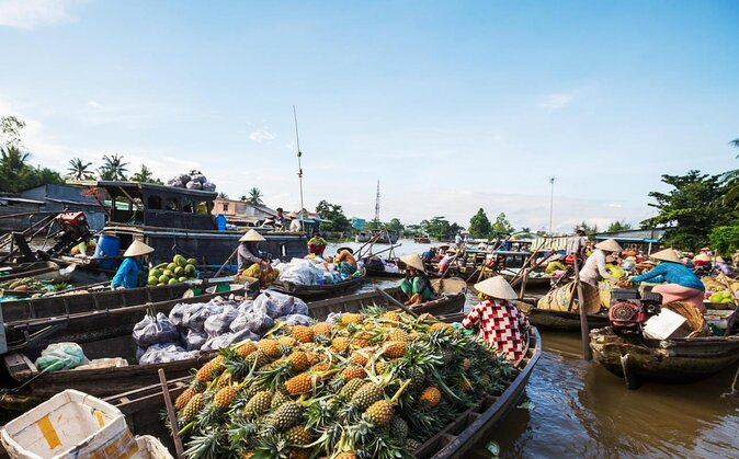 Mekong Delta Private Tour from Ho Chi Minh Ports-Shore Excursion - Key points to know before booking