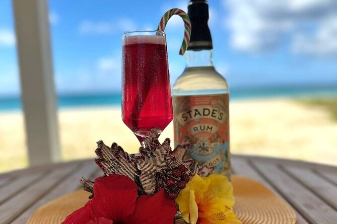 Mixology Class in Bridgetown – 10 Minutes from Cruise Terminal - A Short Lesson in Barbadian Rum