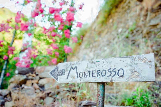 Monterosso and Portofino Shore Excursion from La Spezia - Meeting your driver outside La Spezia Port