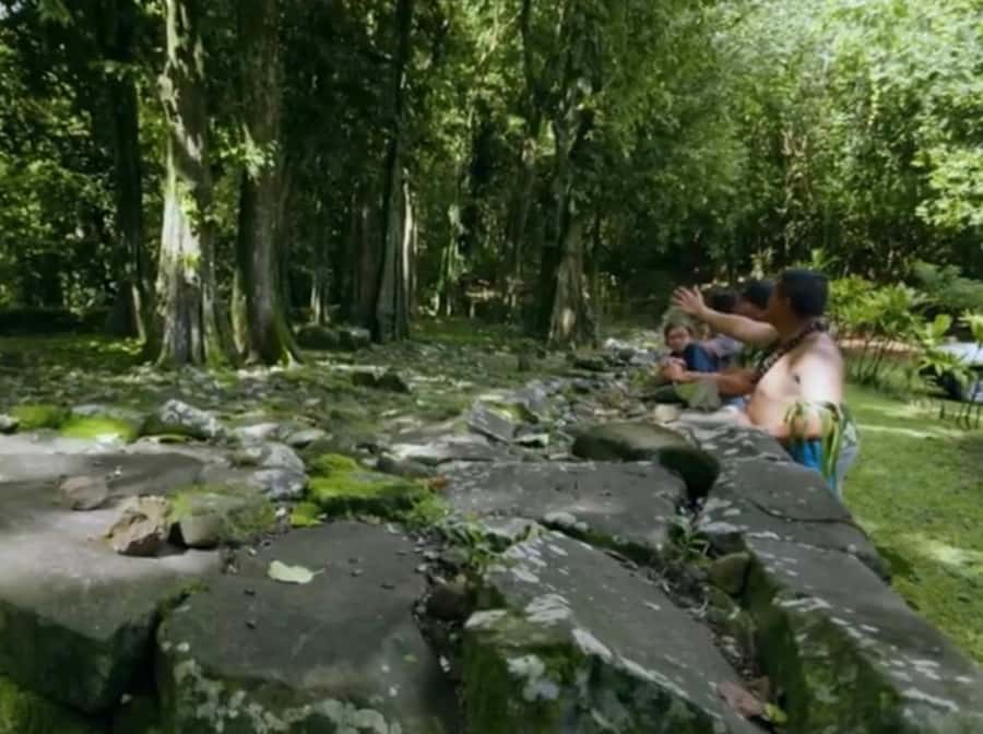 Moorea Cruise Ships 4x4, Belvedere Magic mount PRIVATE Tours - Freshwater eels, a marae, and island traditions