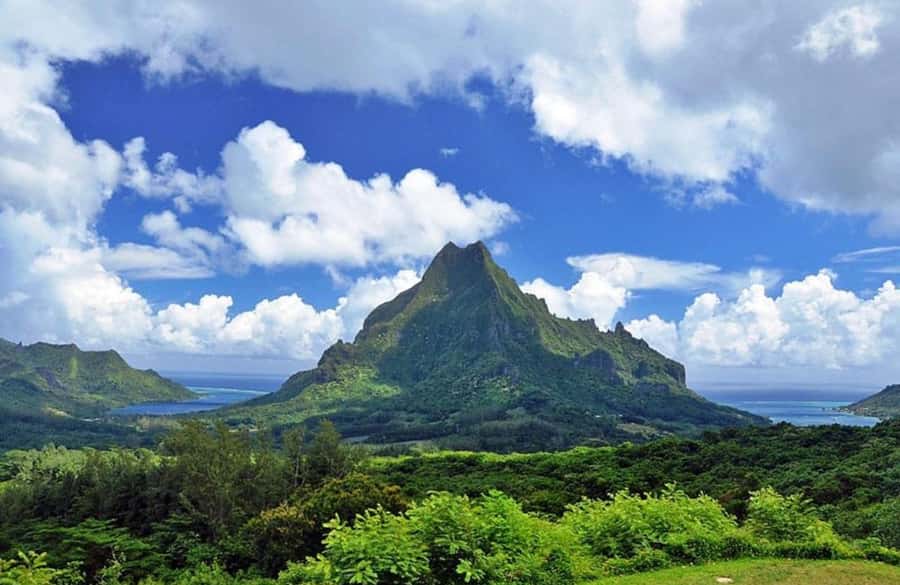 Moorea Cruise Ships 4x4, Belvedere Magic mount PRIVATE Tours - Practical packing advice for the four-hour route