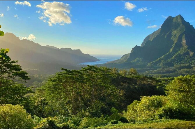 Moorea Cruise Ships: 4x4, Belvedere,Magic Mountain pineaple - Why a 4x4 is the right way to see Moorea
