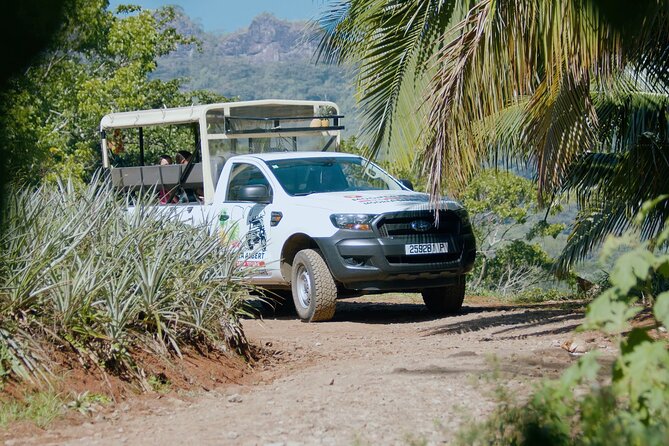 Moorea Cruise Ships: 4x4, Belvedere,Magic Mountain pineaple - Magic Mountain: the rough road earns its view