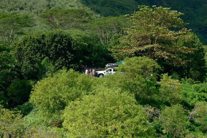 Moorea Cruise Ships: 4x4, Belvedere,Magic Mountain pineaple - Belvedere Lookout and the volcanic interior