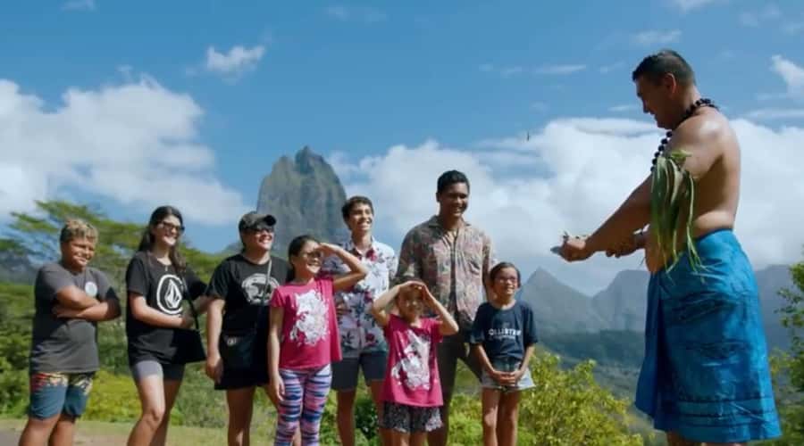 Moorea Cruise Ships: 4x4, Belvedere,Magic Mountain pineaple - Cook’s Bay from the road