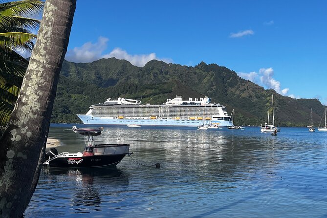 Moorea Cruise Ships: 4x4, Belvedere, Pineapple, & Magic Mountain - What the $70 price really covers