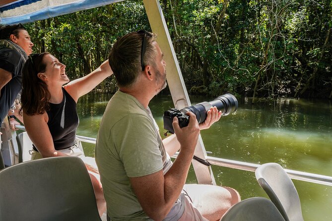 Morning Daintree Tour with River Cruise from Port Douglas - Mossman Gorge and the 500-metre rainforest walk