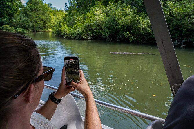 Morning Daintree Tour with River Cruise from Port Douglas - What to pack for a smoother morning