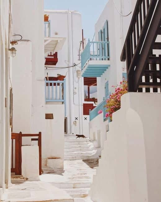 Mykonos Cruise Passenger Exclusive Jeep Tour: Must See in 4h - Windmills, Little Venice, and Paraportiani