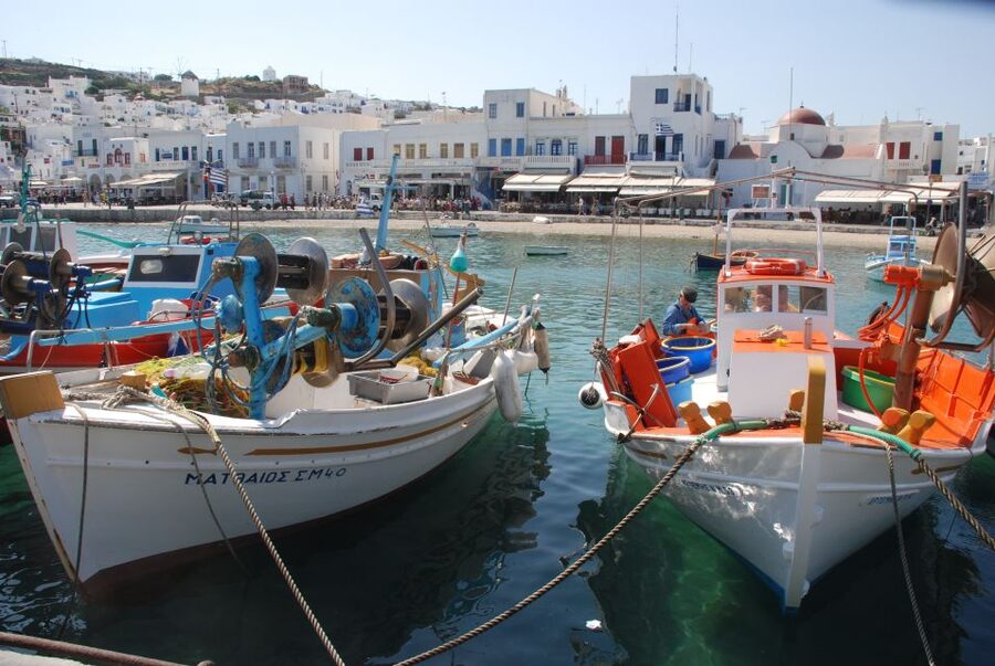 Mykonos Shore Excursion: City & Island Tour - Who should book this Mykonos shore excursion?