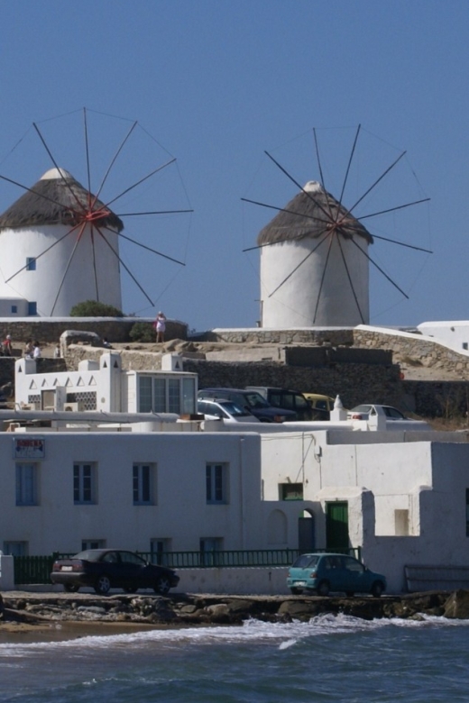 Mykonos Shore Excursion: City & Island Tour - Meeting your guide at the correct Mykonos port