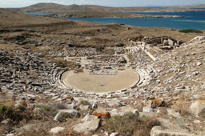 Mykonos Shore Excursion: Private Tour to Delos Island - What a private guide adds