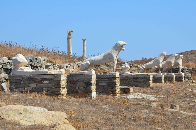 Mykonos Shore Excursion: Private Tour to Delos Island - Apollo’s sanctuary and the Sacred Way