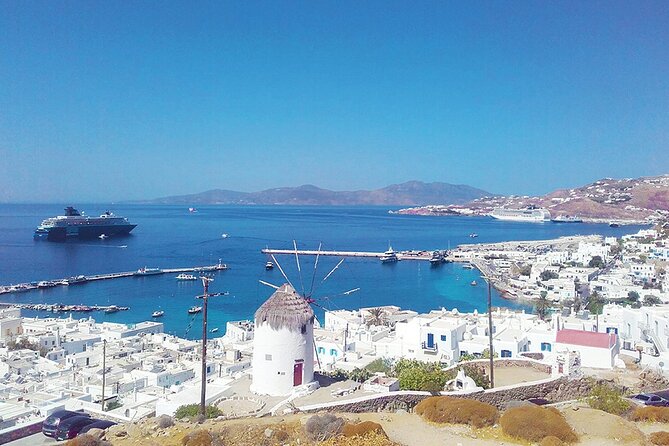 Mykonos Shore Excursion with Pickup from Cruise Ship Terminal - Ending at Akti Kampani