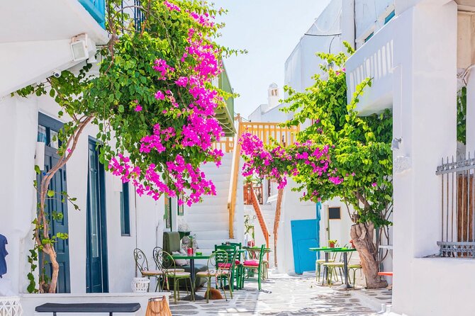 Mykonos Small Group Tour for Cruise Passengers — Port Pickup - Pickup details matter more than they sound