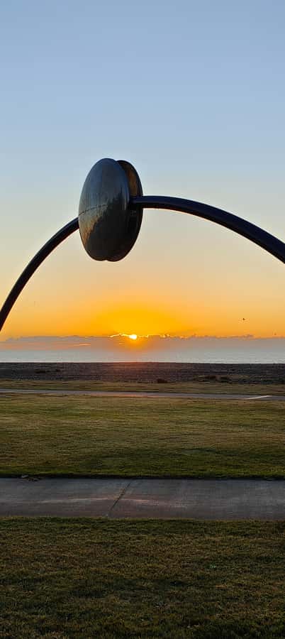 Napier: Shore Excursion with Wine Tasting and Platter - Key points at a glance