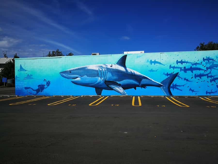 Napier: Shore Excursion with Wine Tasting and Platter - Ahuriri adds a coastal, working-town view