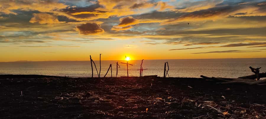 Napier: Shore Excursion with Wine Tasting and Platter - Timing, comfort, and practical limits