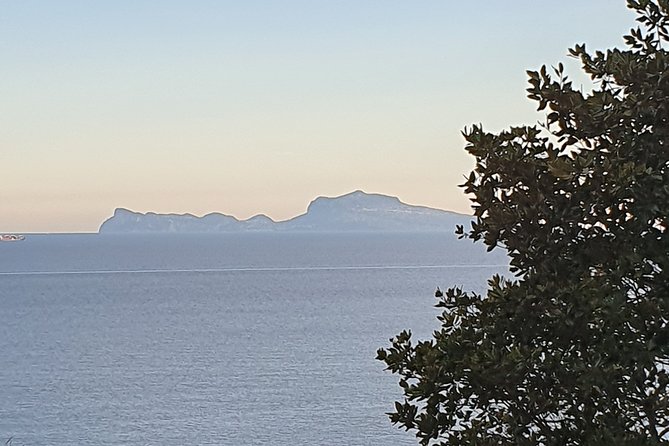 Naples Shore Excursion: Capri Day Trip with Lunch from Naples - Key points to know before booking