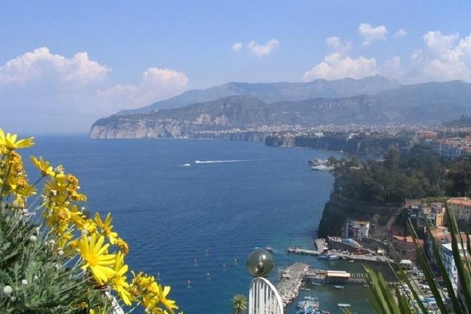 Naples Shore Excursion: Pompeii and Sorrento Day Trip - Key points at a glance