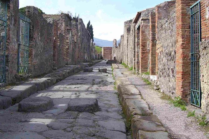 Naples Shore Excursion: Pompeii Half Day Trip from Naples - What the shared transport is really like