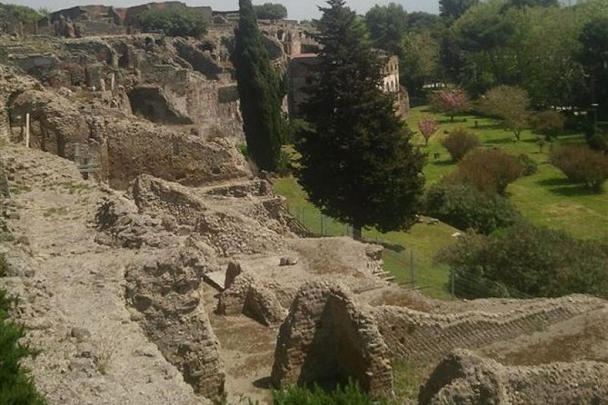 Naples Shore Excursion: Pompeii Half Day Trip from Naples - The Forum, Pompeii’s public heart