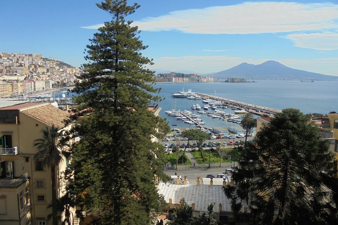 Naples Shore Excursion:Small Group Naples City Sightseeing Tour - Town Hall Square and Castel Nuovo from the minivan