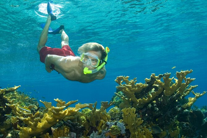 Nassau Shore Excursion: Bahamas Snorkel Adventure - Key points to know before you book