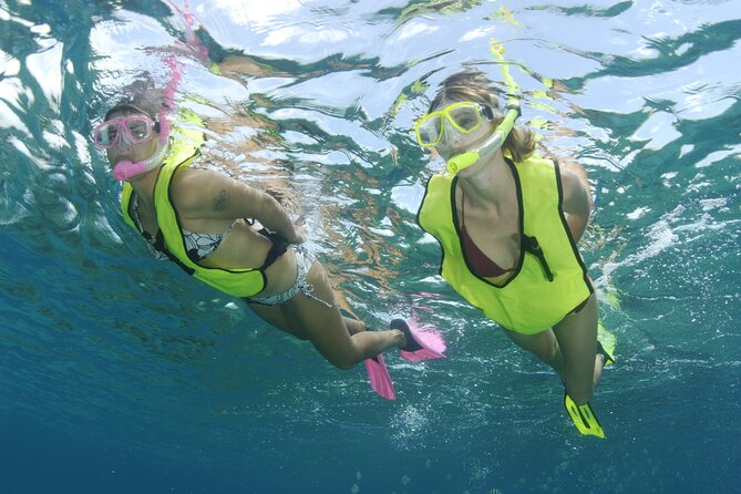 Nassau Shore Excursion: Bahamas Snorkel Adventure - The boat ride and Nassau transfer take longer than expected
