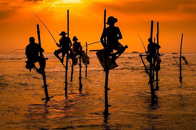 One Day Shore Excursion to Down south Sri Lanka - Why this Galle day trip works