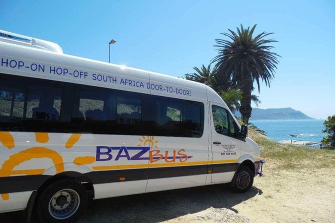 One-Way Hop-on Hop-off Bus from Port Elizabeth to Cape Town - A road trip where you set the pace
