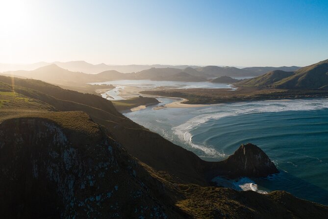 Otago Peninsula & Larnach Castle Shore Excursion - Why this Dunedin tour works well for a first visit
