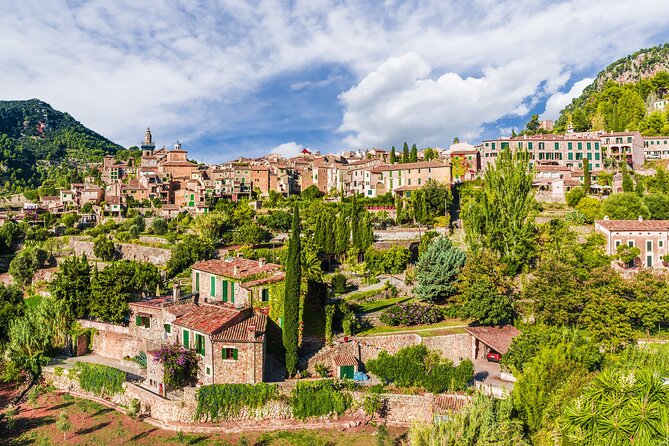 Palma de Mallorca Shore Excursion: Private Tour of Valldemossa, Soller and Serra de Tramuntana - Guides, vehicles, and the private experience