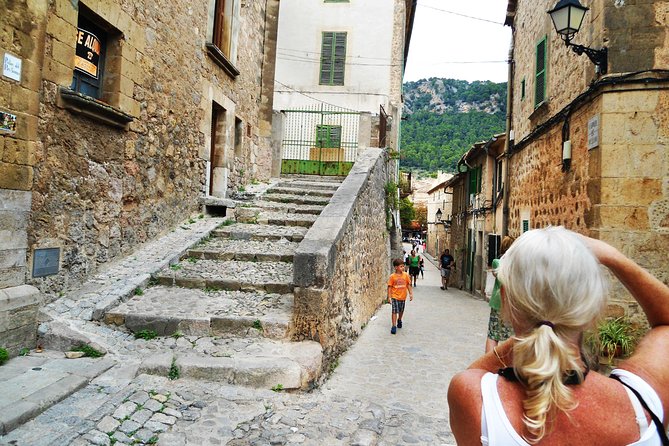 Palma de Mallorca Shore Excursion: Private Tour of Valldemossa, Soller and Serra de Tramuntana - Who should book this excursion?