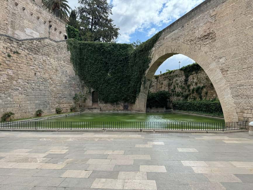 Palma Shore Excursion Bike Tour (Transfer Included) - Key points to know before you book