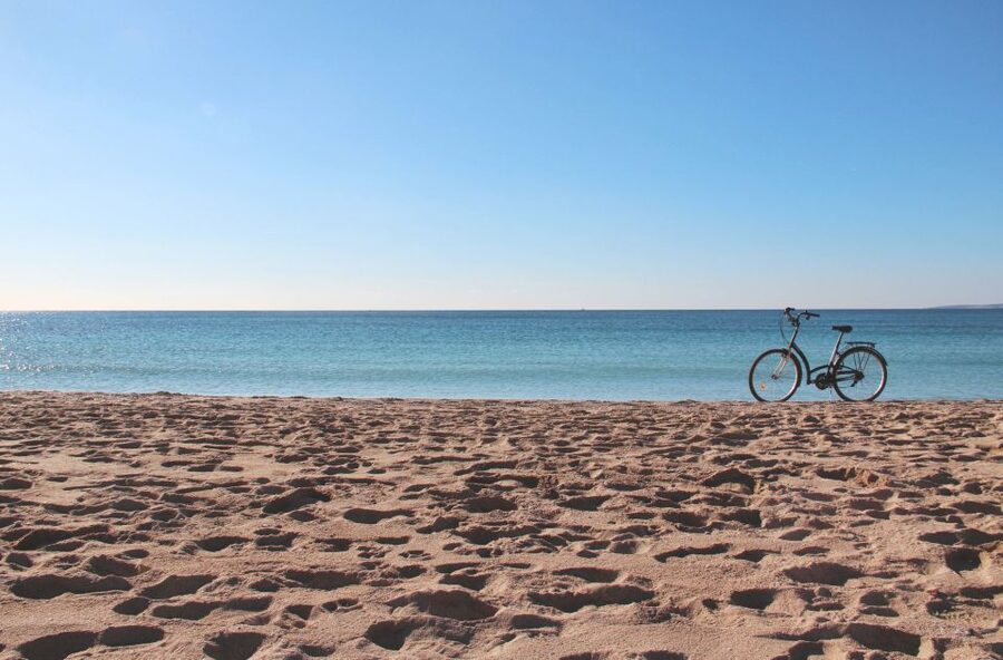 Palma Shore Excursion Bike Tour (Transfer Included) - The Almudaina, City Hall, and the monuments between stops