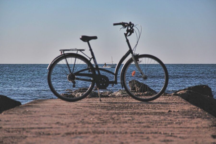 Palma Shore Excursion Bike Tour (Transfer Included) - Es Baluard and the waterfront views