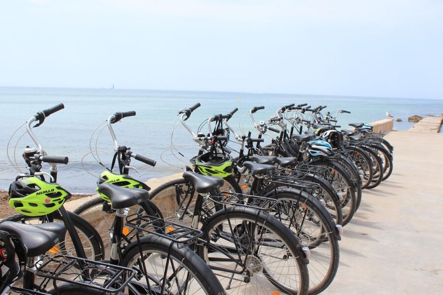 Palma Shore Excursion Bike Tour (Transfer Included) - Lonja de Mallorca and its unusual columns