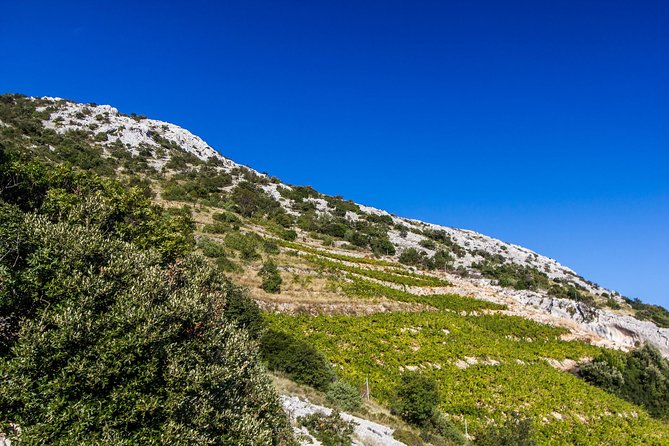 Peljesac Wine & Ston Oysters PRIVATE HALF DAY SHORE TOUR - Ston’s walls, salt, and compact medieval center