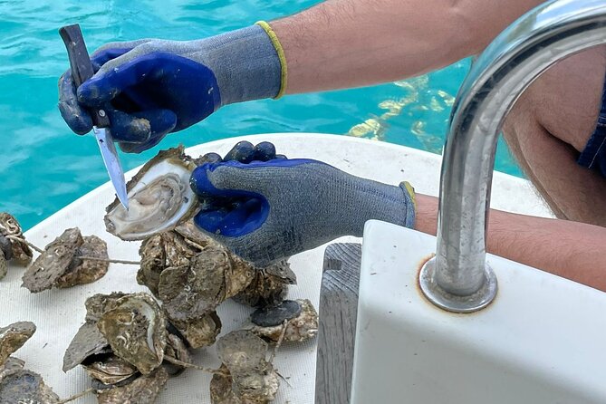 Peljesac Wine & Ston Oysters PRIVATE HALF DAY SHORE TOUR - Is $332.34 per person fair?