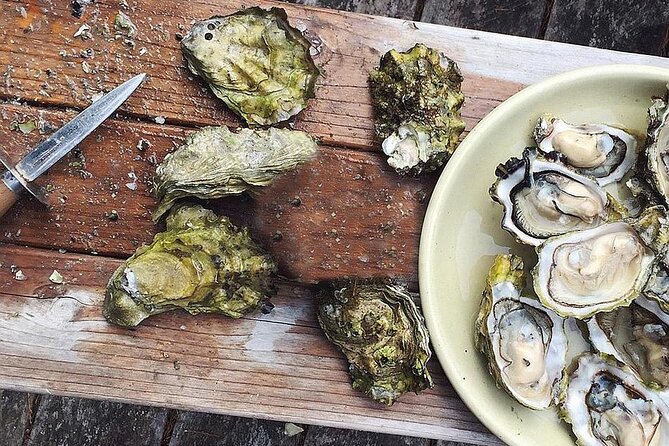Peljesac Wine & Ston Oysters PRIVATE HALF DAY SHORE TOUR - Plavac Mali and a family winery in Ponikve