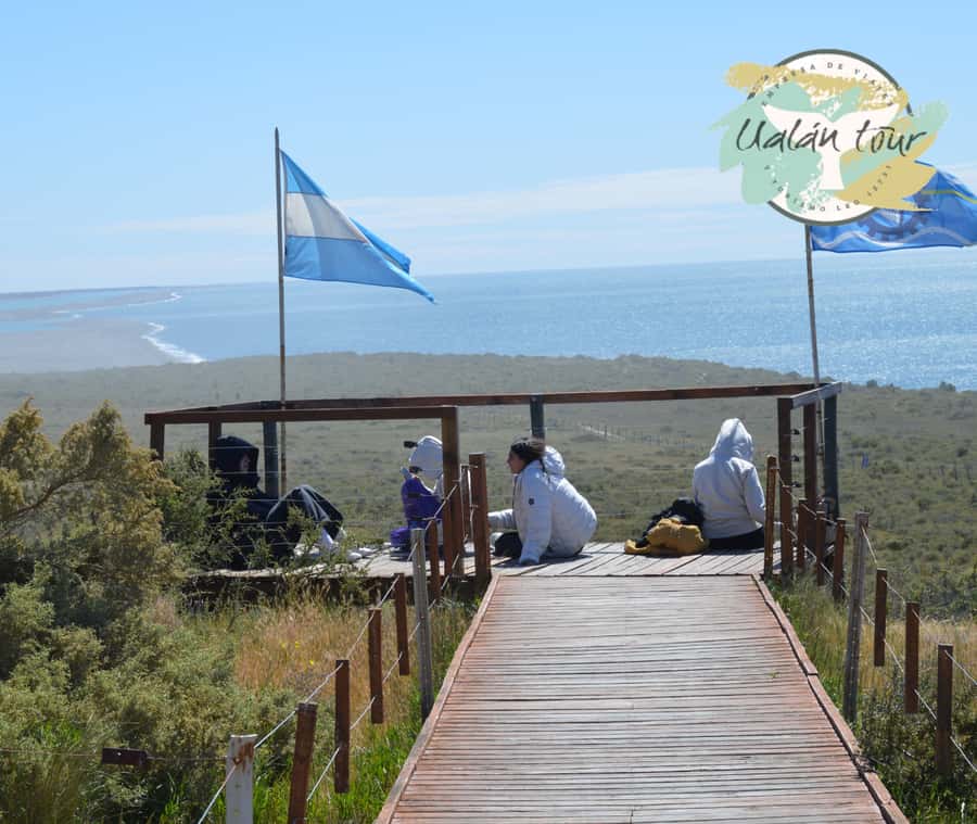 Peninsula Valdes: Shore excursion for cruise passengers - A wildlife outing shaped by Patagonian distances
