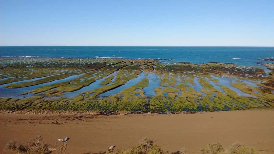 Peninsula Valdes: Shore excursion for cruise passengers - The 45-minute ride from Piedrabuena Pier